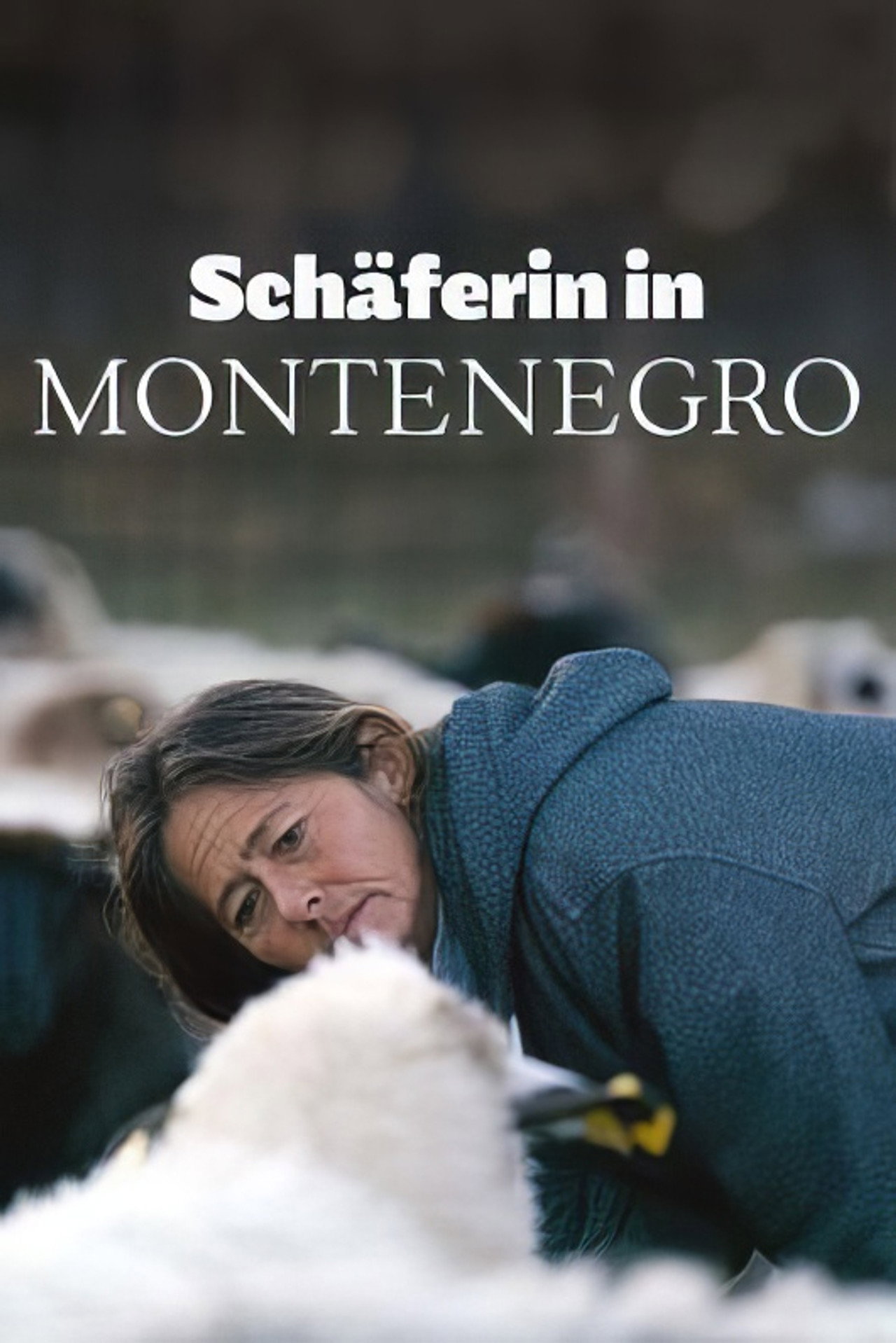 Montenegro - Die Schäferin und der Wind des Fortschritts filmaffisch