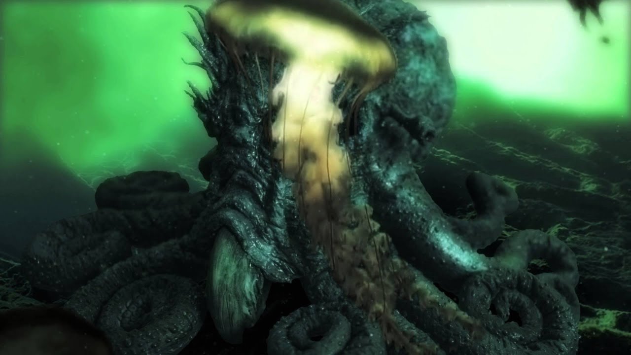 The Kraken