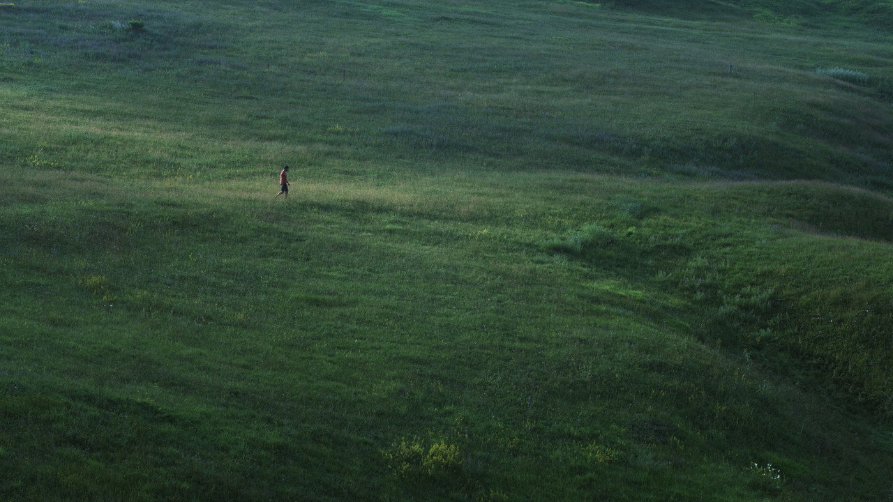 Desire Lines backdrop