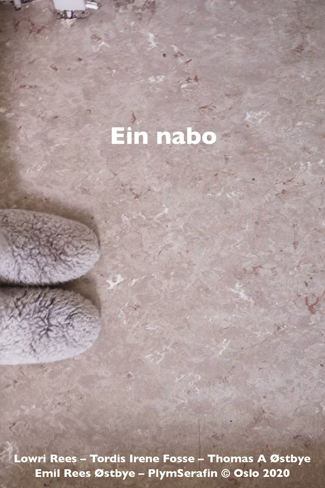 Ein nabo