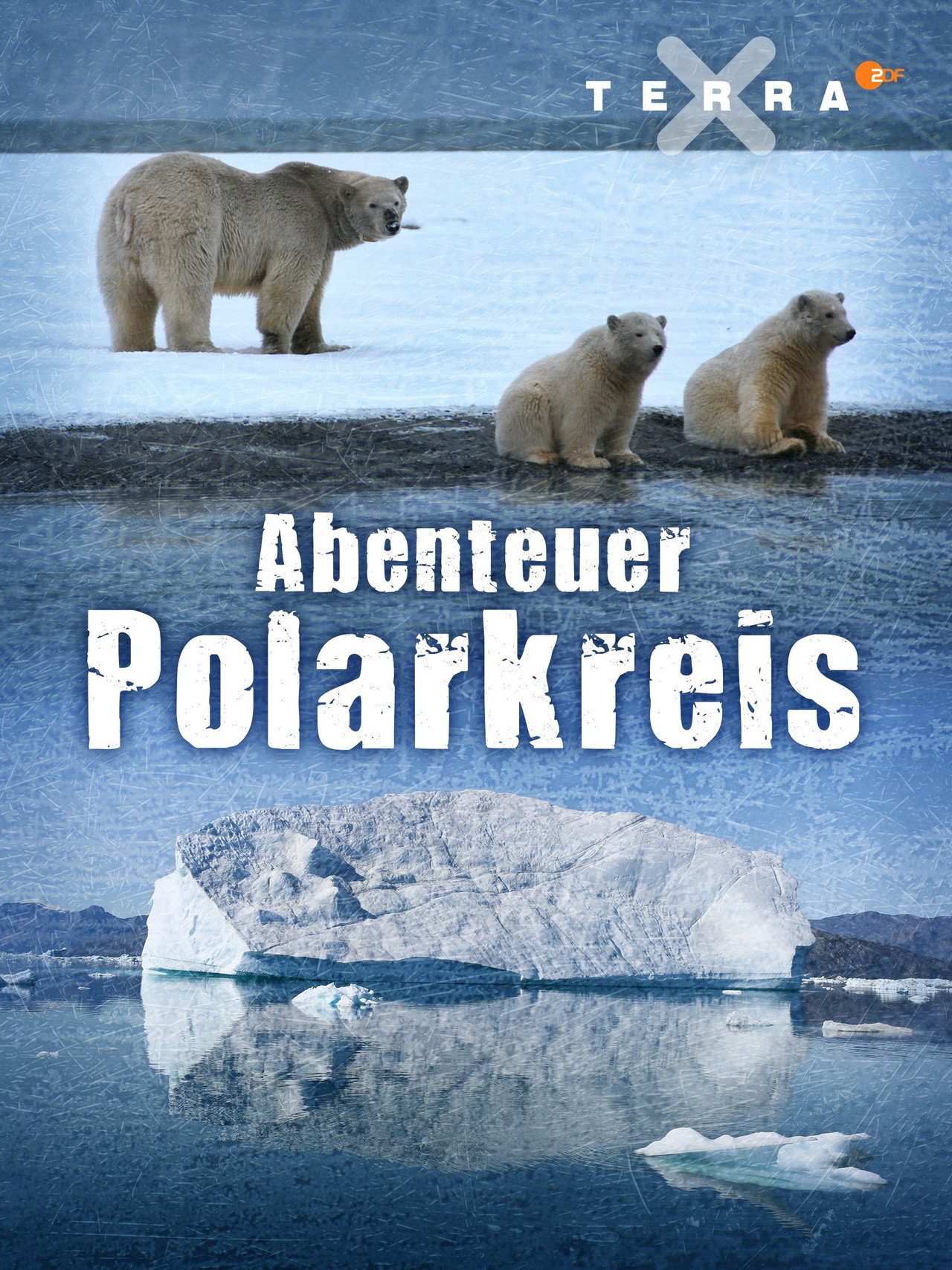 Abenteuer Polarkreis filmaffisch