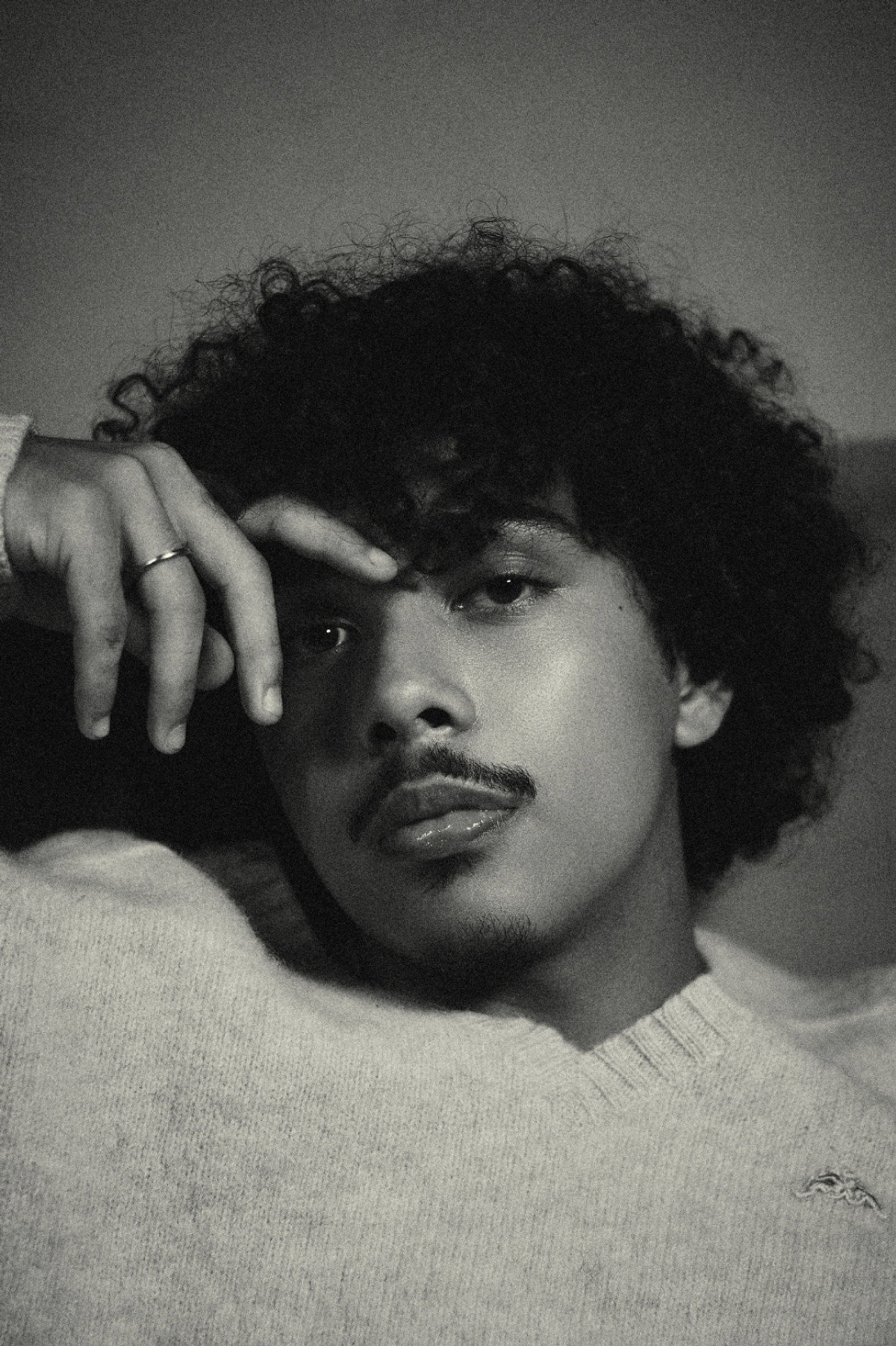 Lucas Verbena