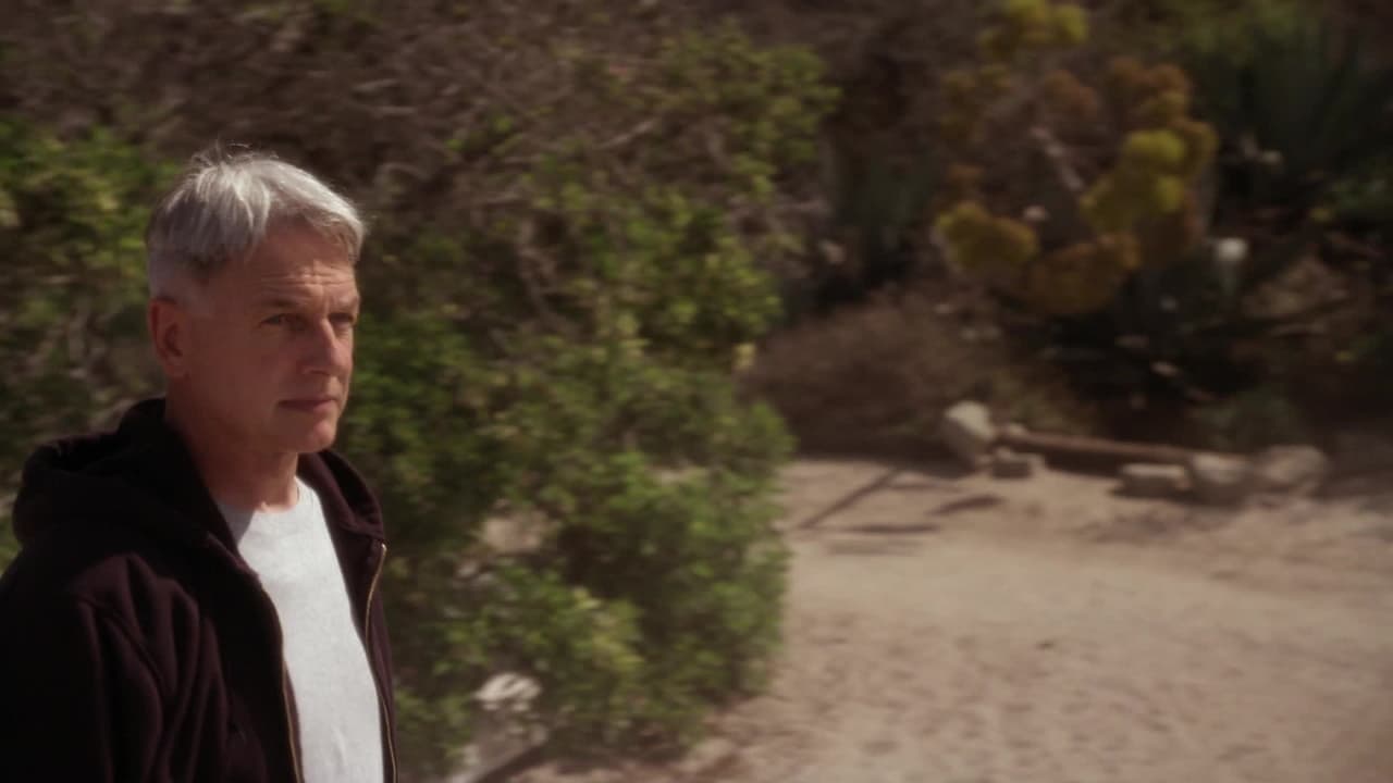 NCIS - Season 7 Episode 6 : Outlaws and In-Laws