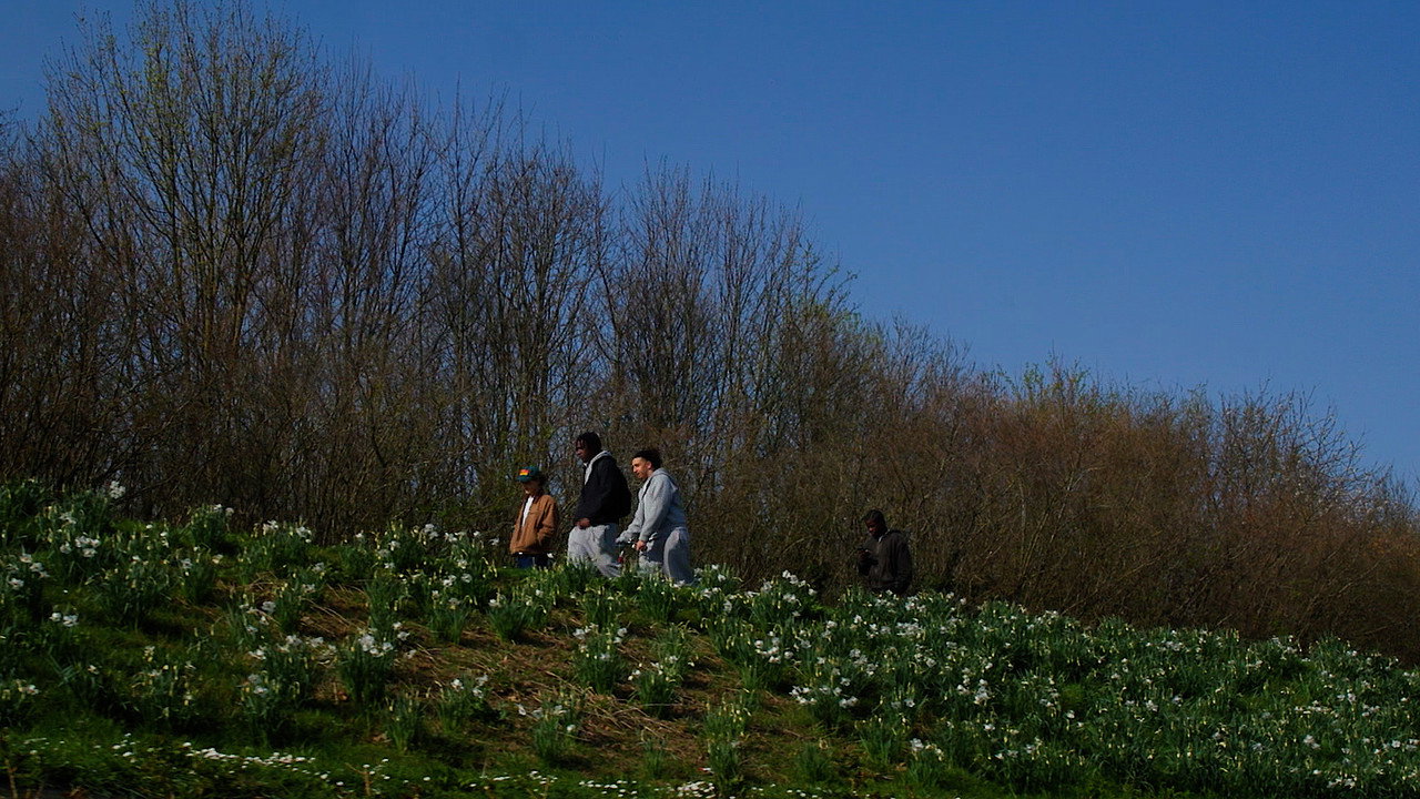 Le cratère des Hautes-Bruyères still 3