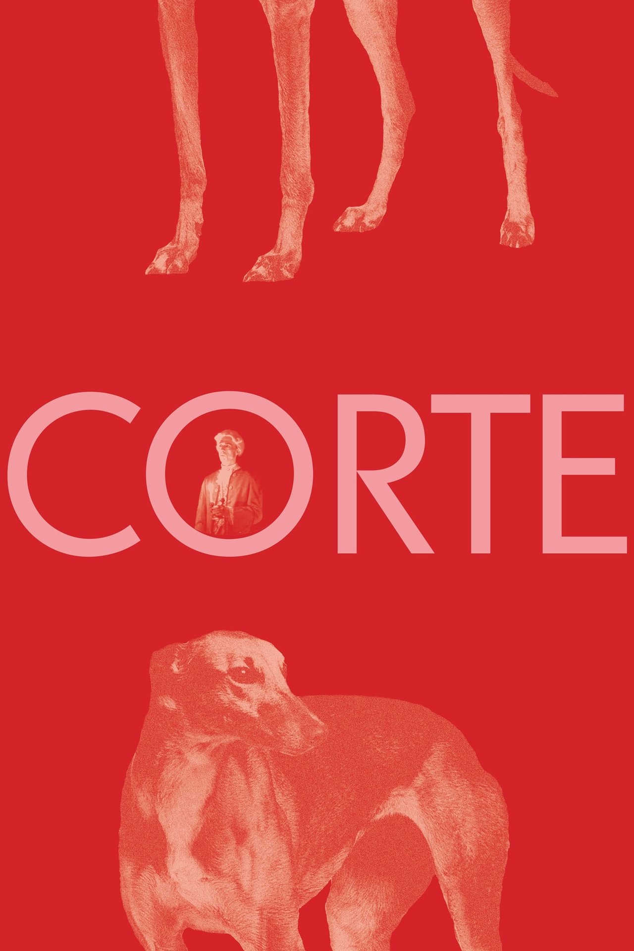 Corte 2020