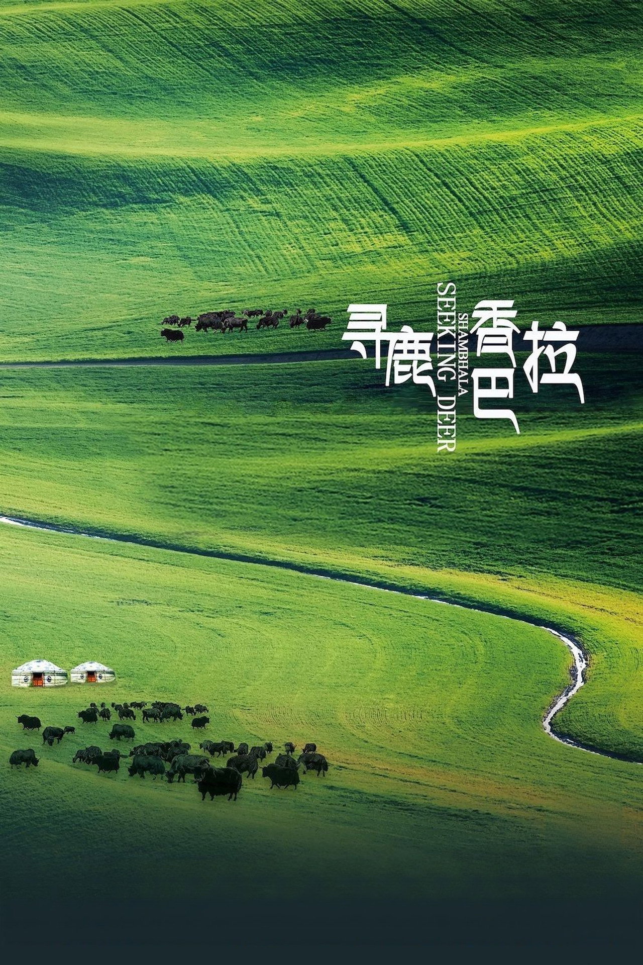 寻鹿香巴拉 filmaffisch