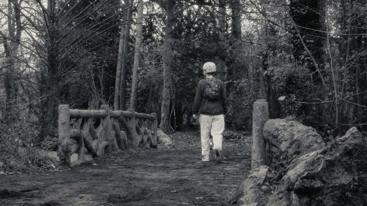 Bill & Ulysse backdrop