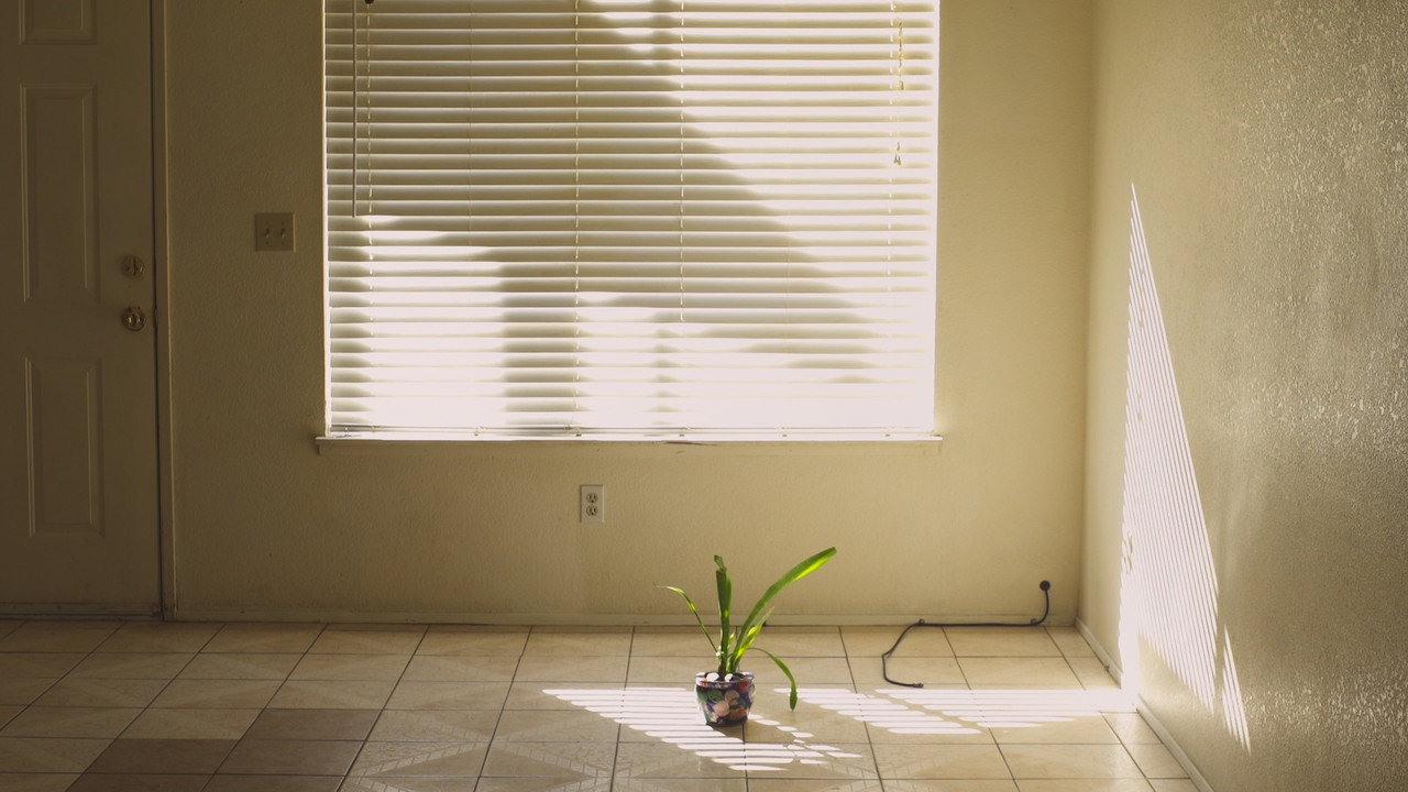 The Fruit Tree still 3