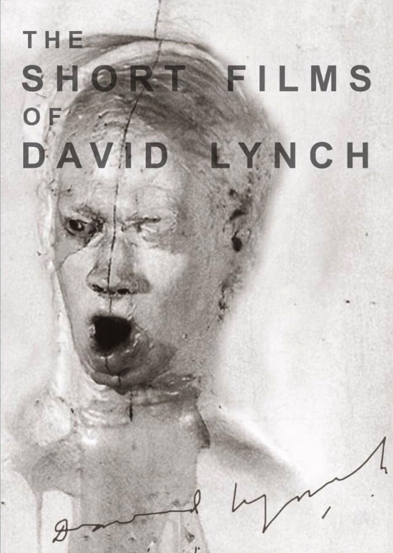 The Short Films of David Lynch Backdrop