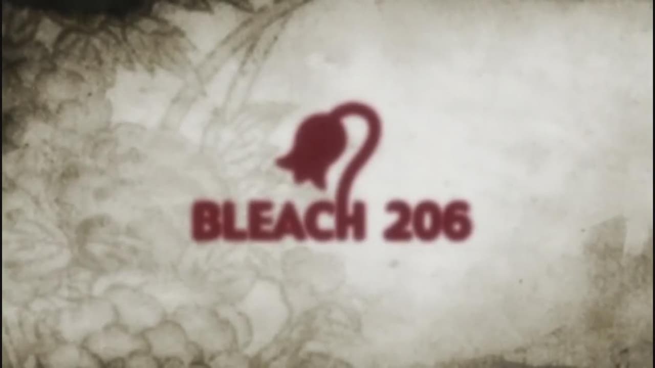 Bleach - Season 1 Episode 206 : The Past Chapter Begins! The Truth from 110 Years Ago
