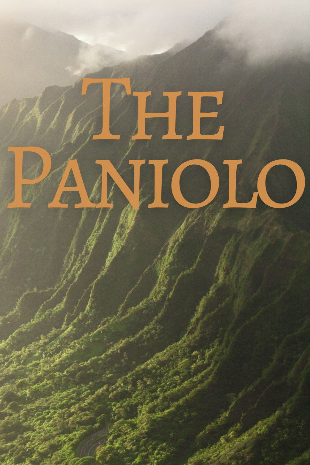 The Paniolo filmaffisch