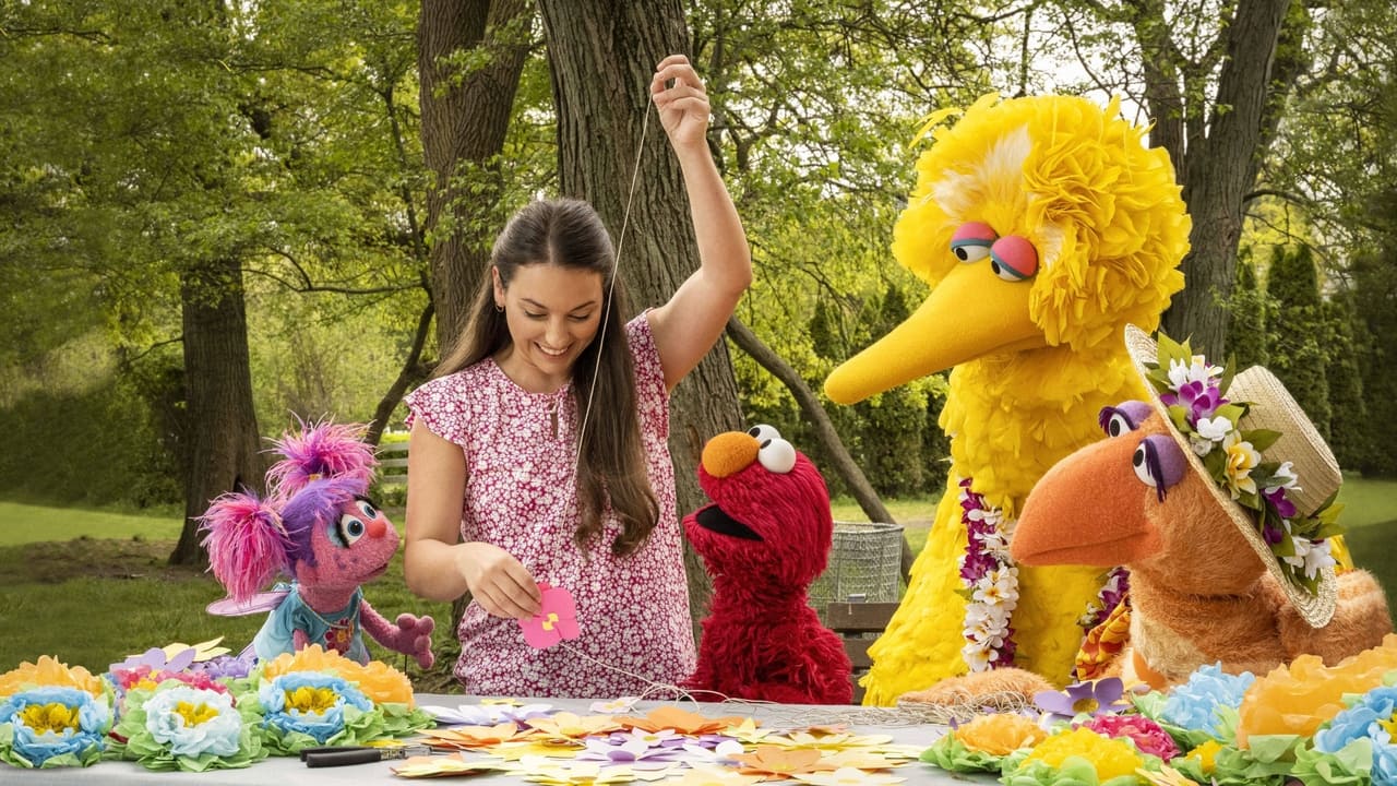 Sesame Street - Season 53 Episode 13 : Nani Bird Visits