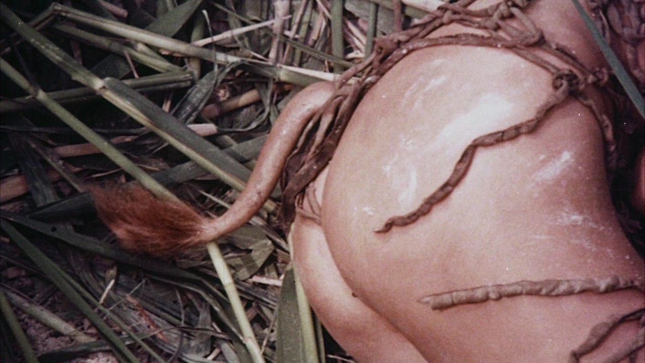 title image