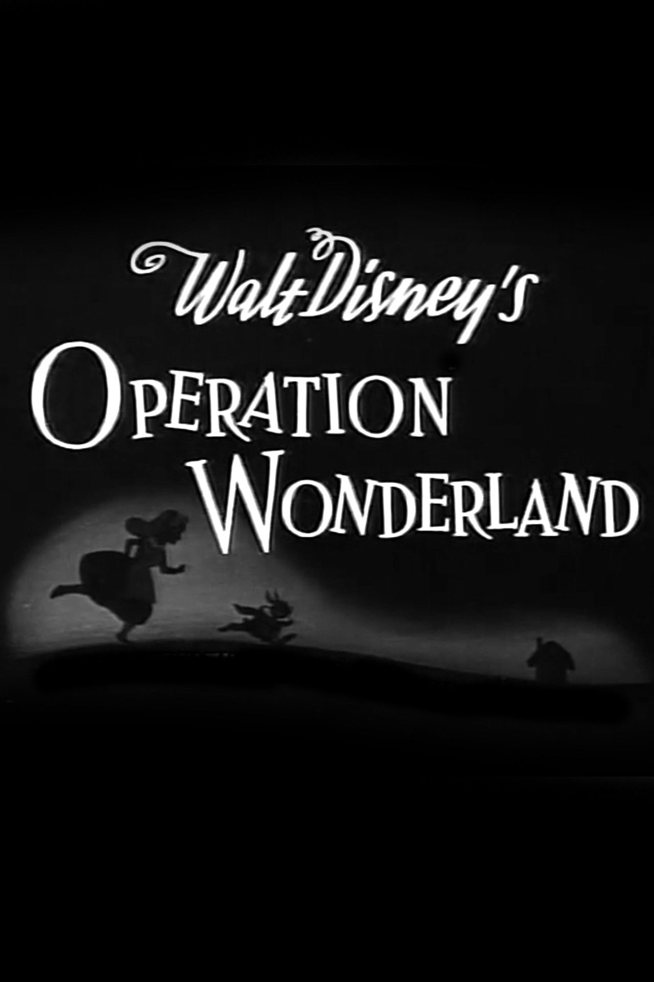 Operation Wonderland Backdrop