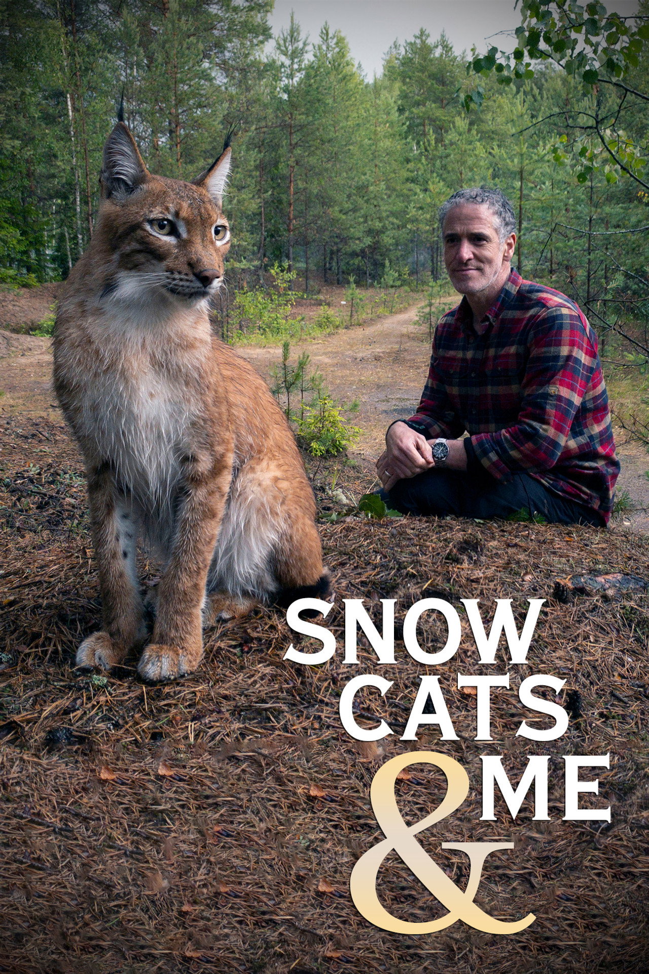 Snow Cats & Me