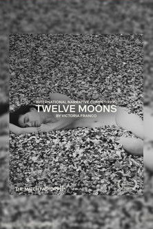 Twelve Moons Backdrop