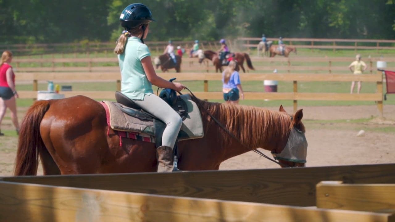 Horse Camp: A Love Tail Backdrop Image