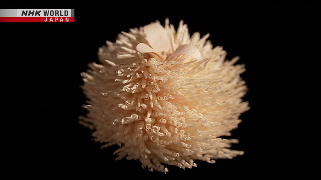 DESIGN × STORIES — Épisode 13