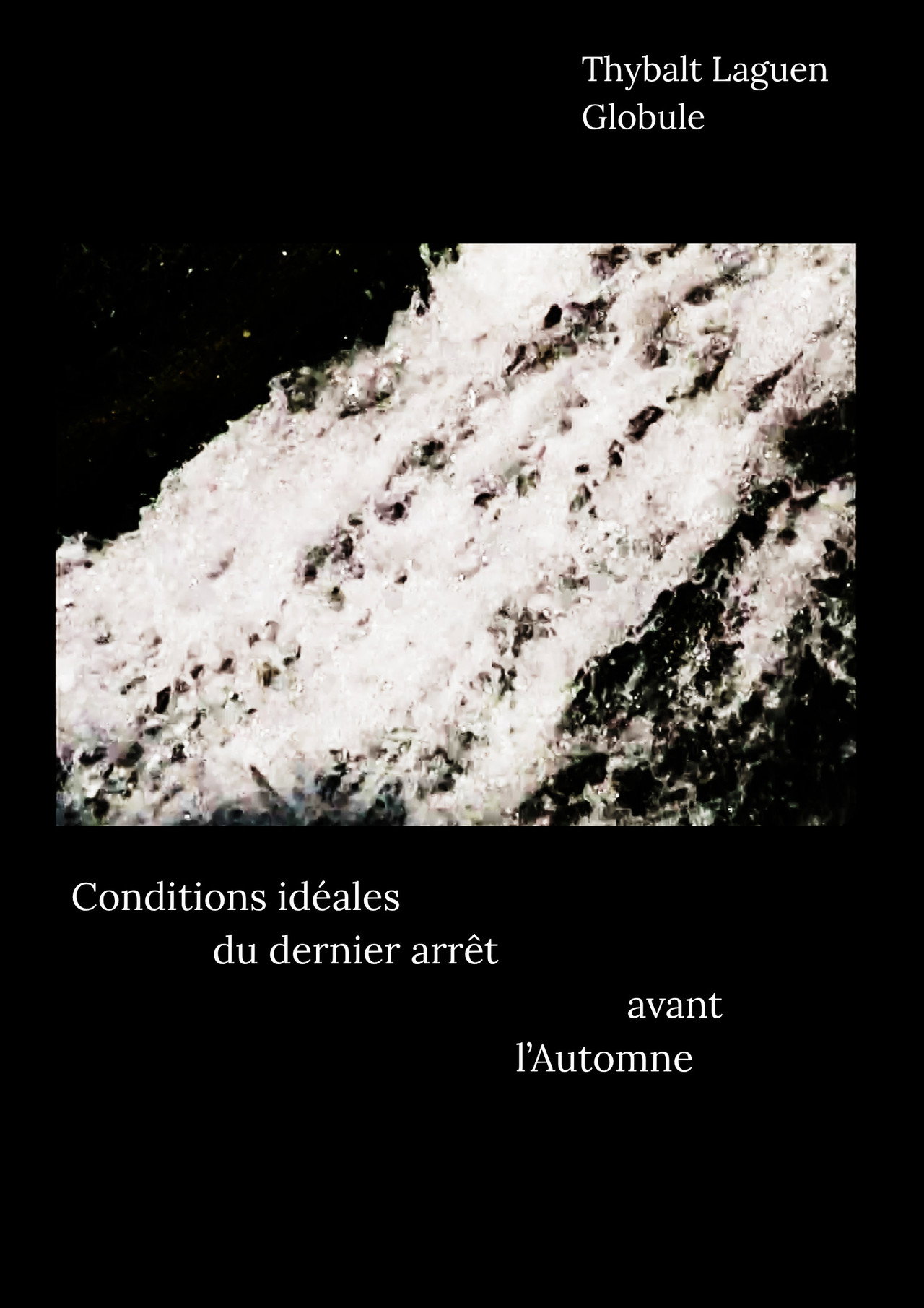 Conditions idéales du dernier arrêt avant l'Automne