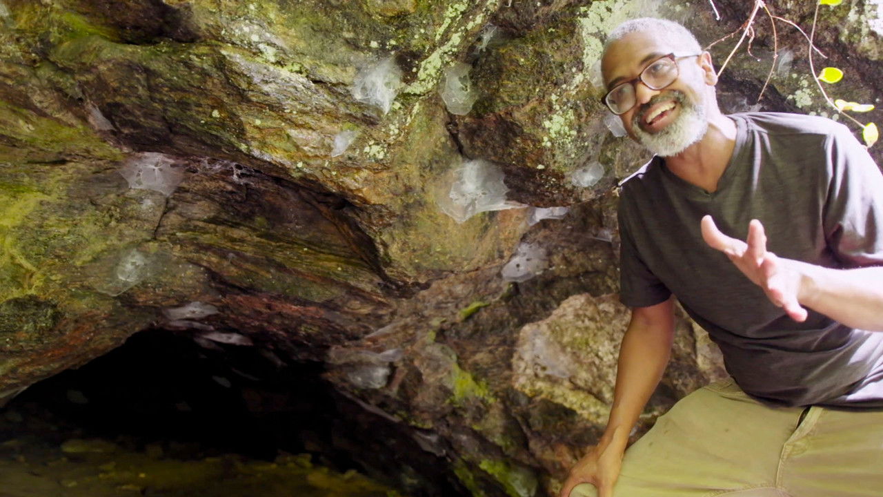 Underground Railroad: The Secret History — Épisode 3    La route du centre de l'Atlantique vers le Nord