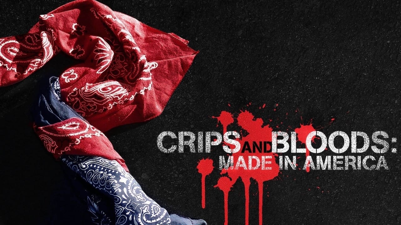 Crips and Bloods: Made in America background