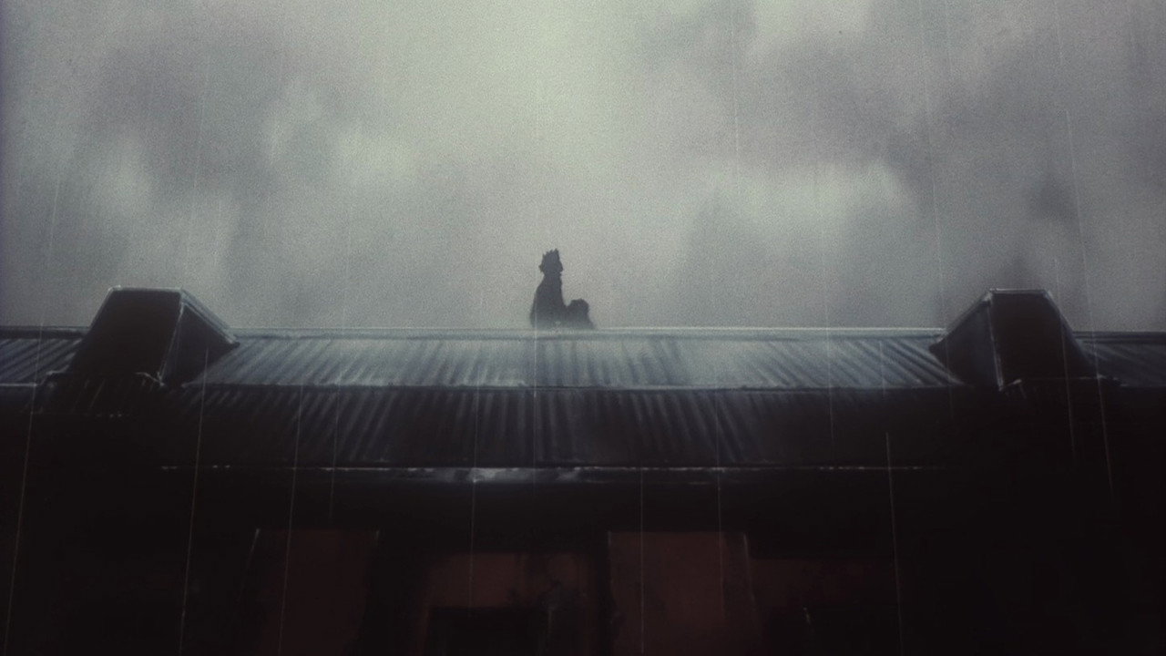 scenes 65