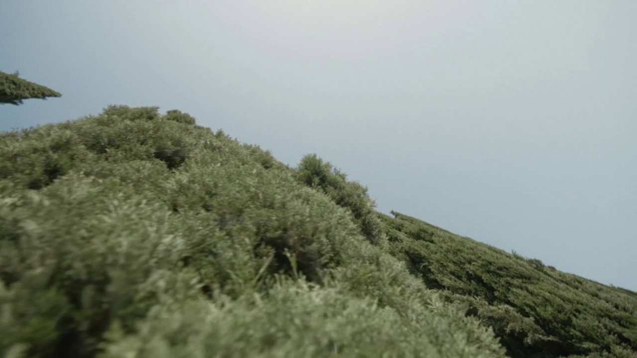 A Plot, A Scandal backdrop