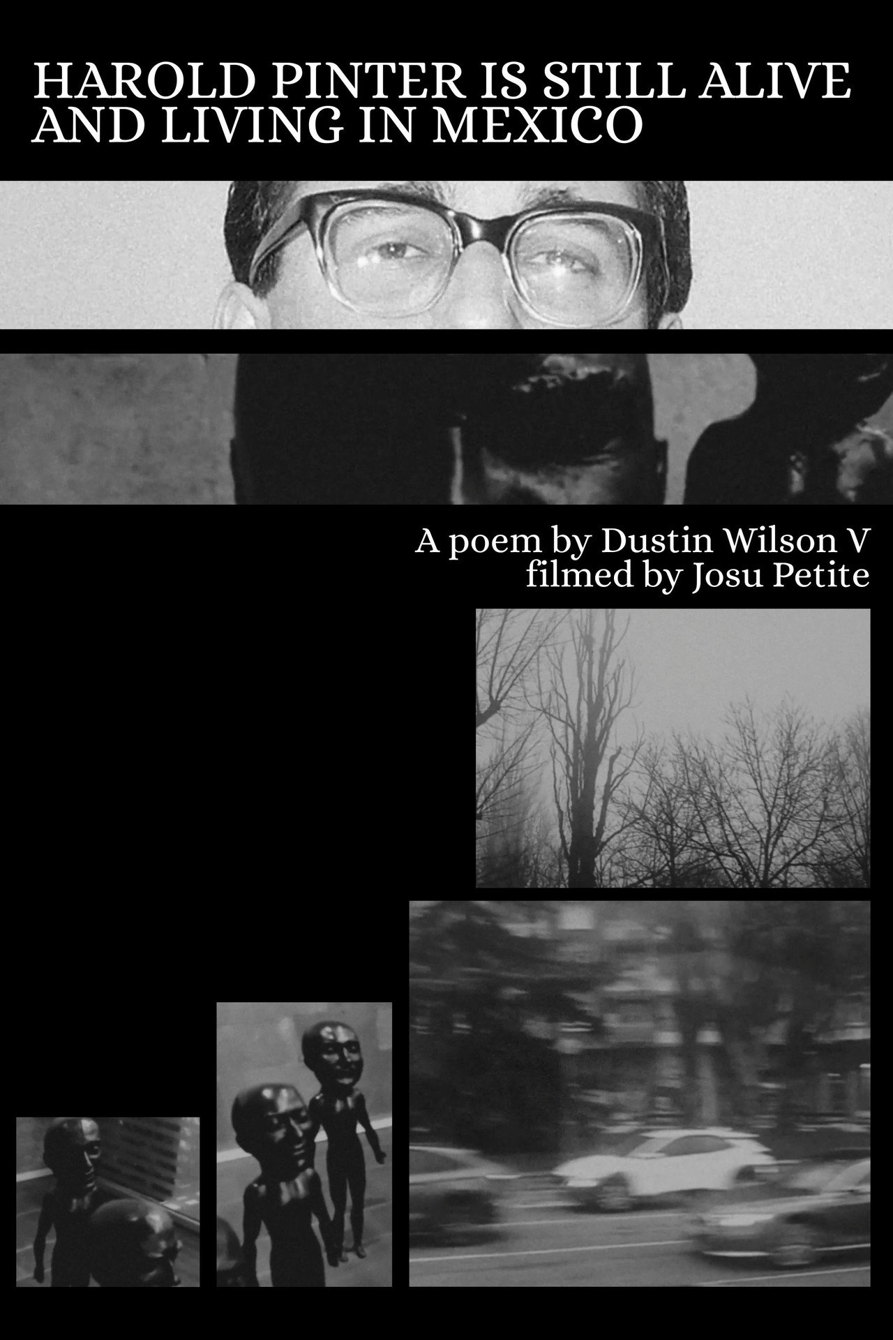 Harold Pinter is Still Alive and Living in Mexico Backdrop