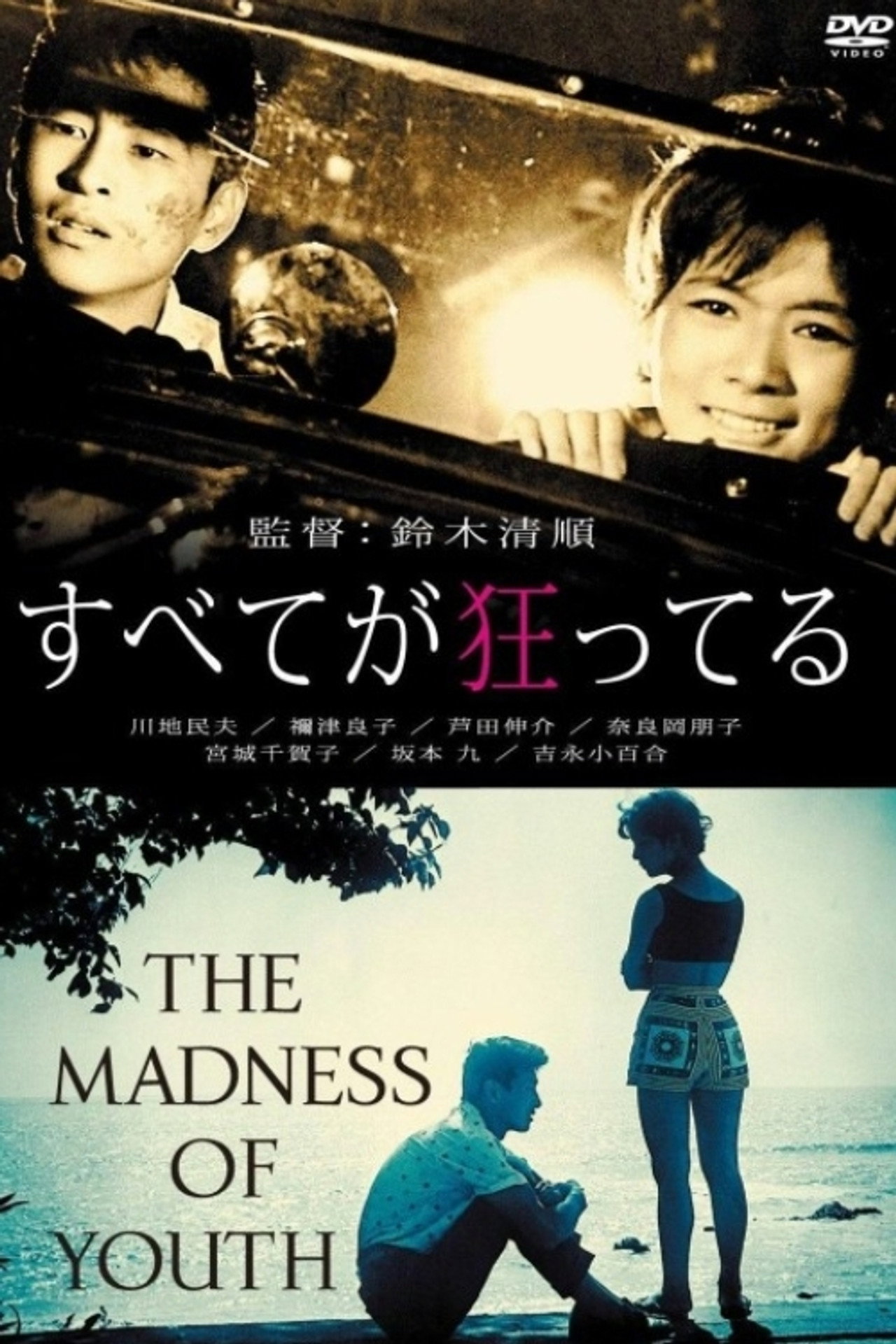すべてが狂ってる filmaffisch