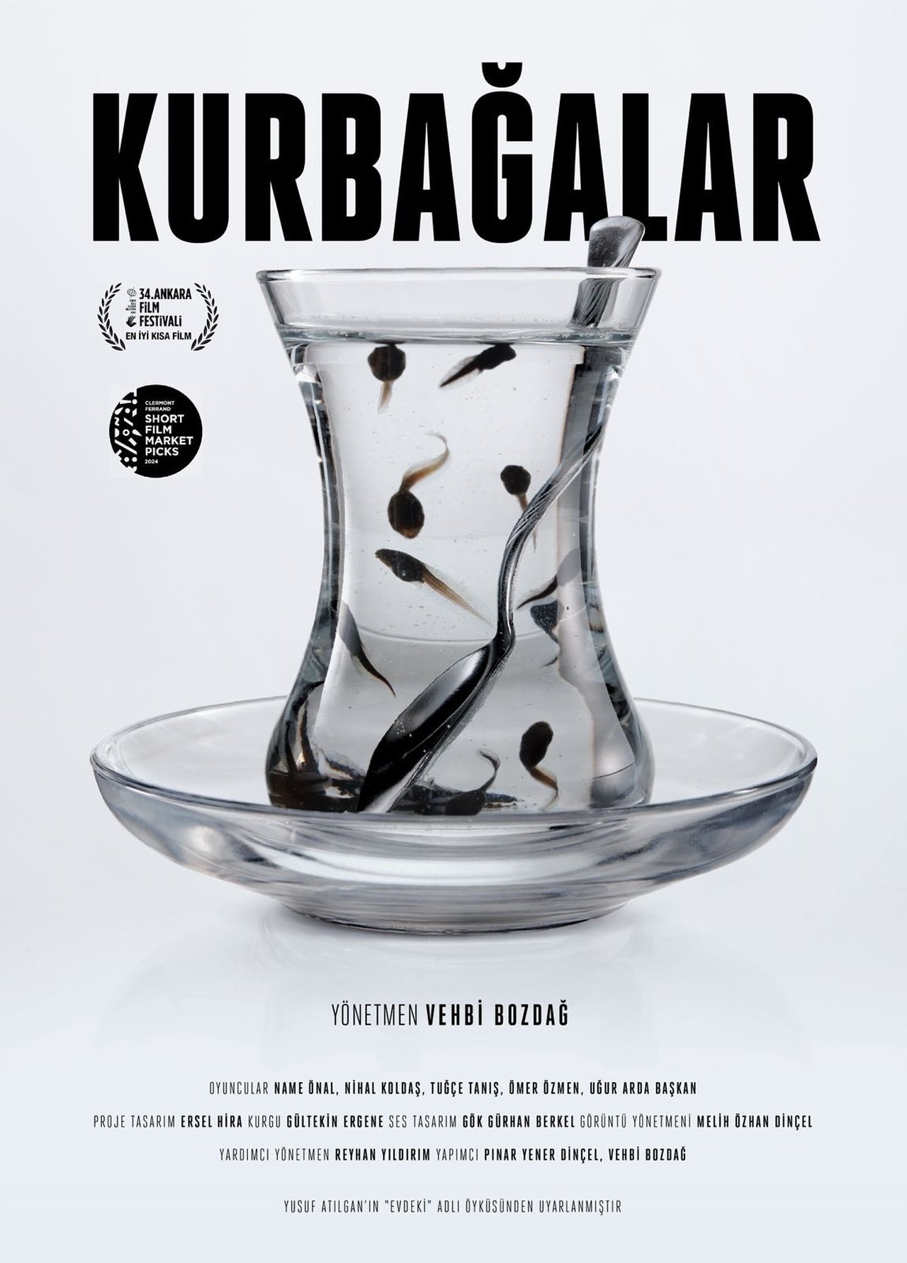 Kurbağalar poster