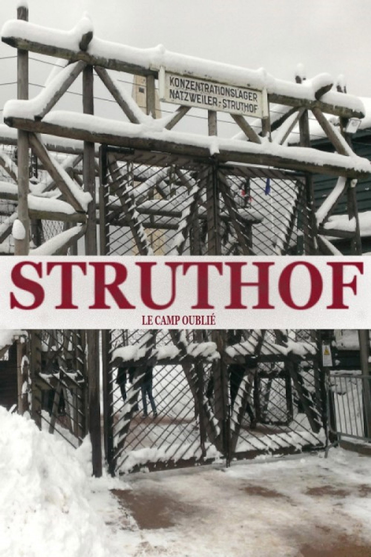 Struthof, le camp oublié filmaffisch
