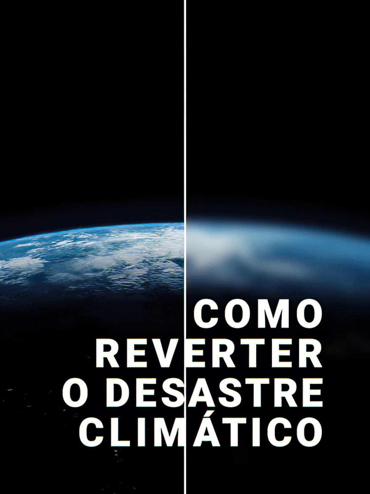 Reversing the Climate Disaster