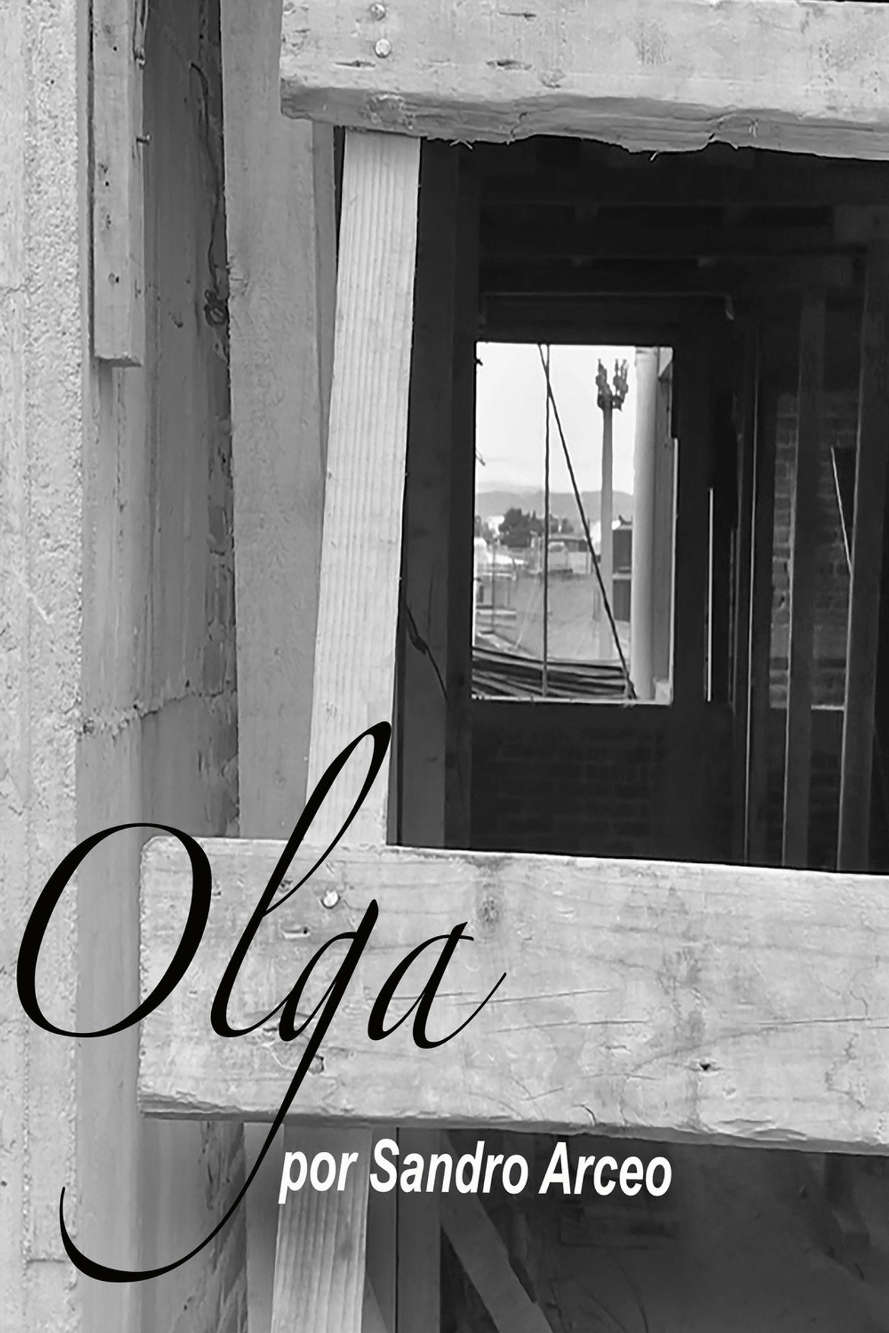 Olga filmaffisch