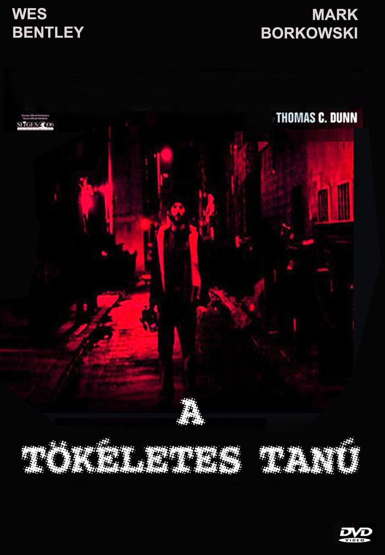 A tökéletes tanú – plakát 3