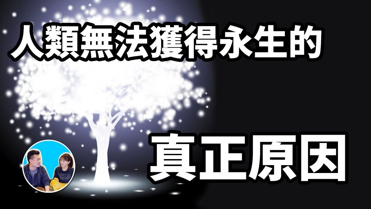 老高与小茉 — Épisode 27