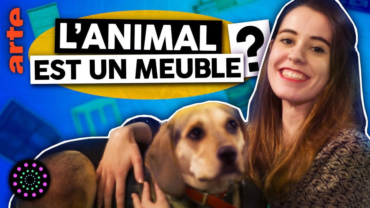 Le Vortex — L'animal est-il un meuble ? (oui)