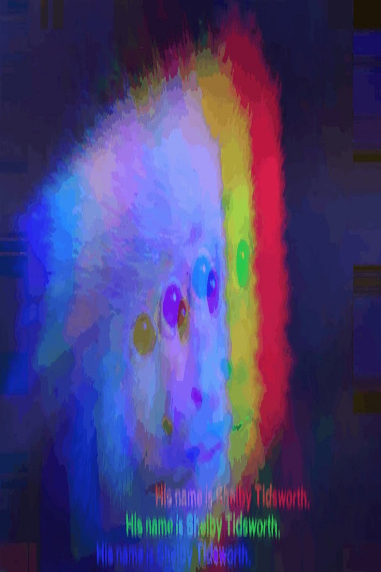 Shelby Tidsworth's Action filmaffisch