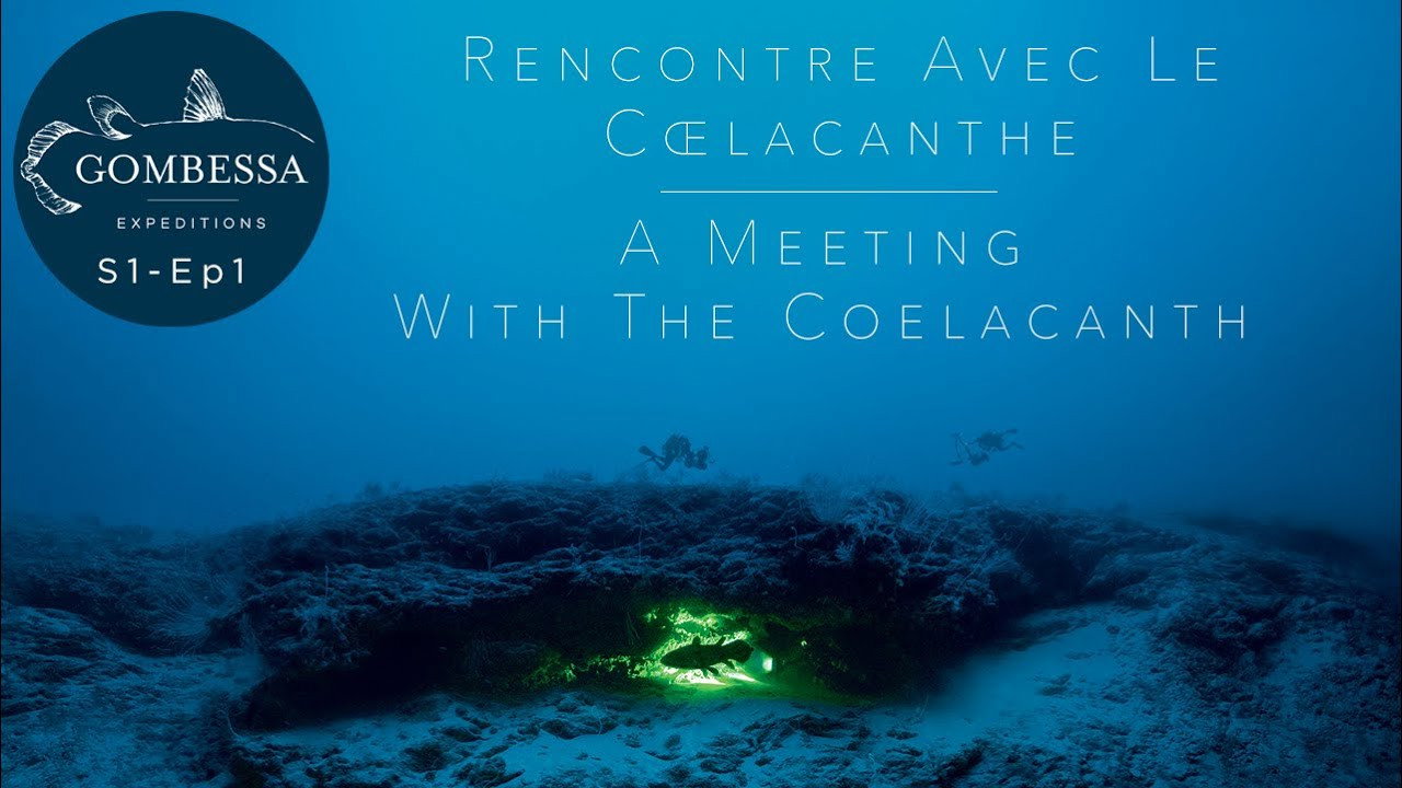 Diving with the Coelacanth