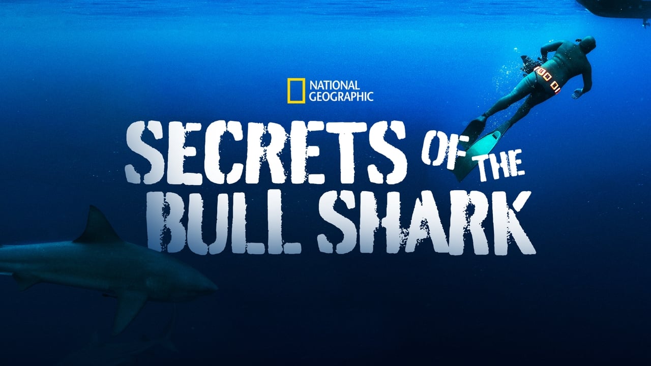 Secrets of the Bull Shark background