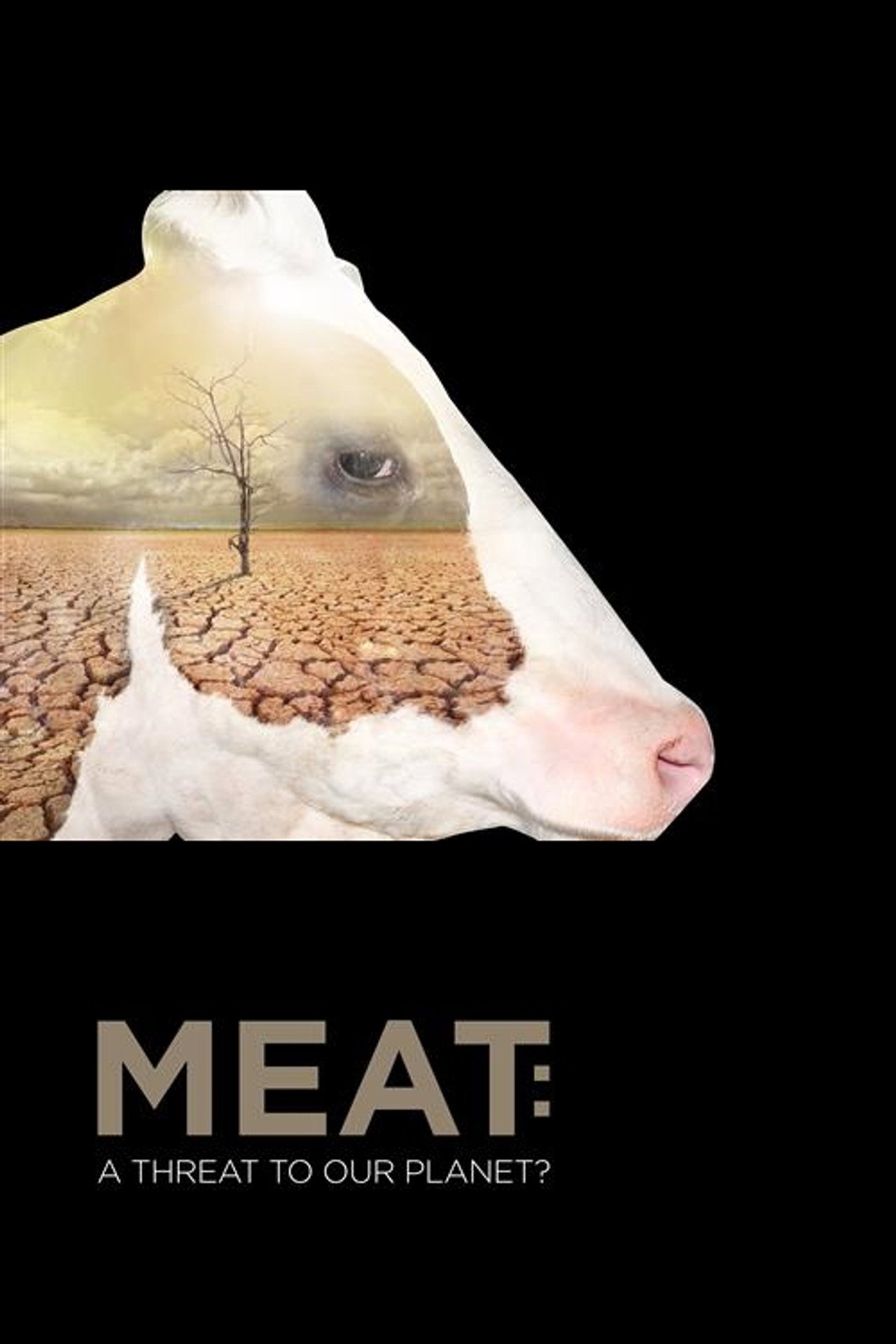 Meat: A Threat to Our Planet filmaffisch