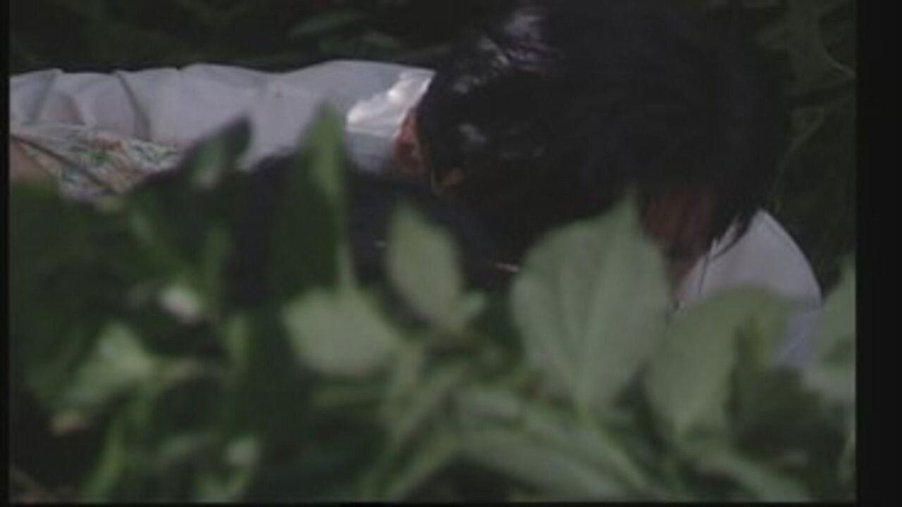 和平的代价 — Épisode 22