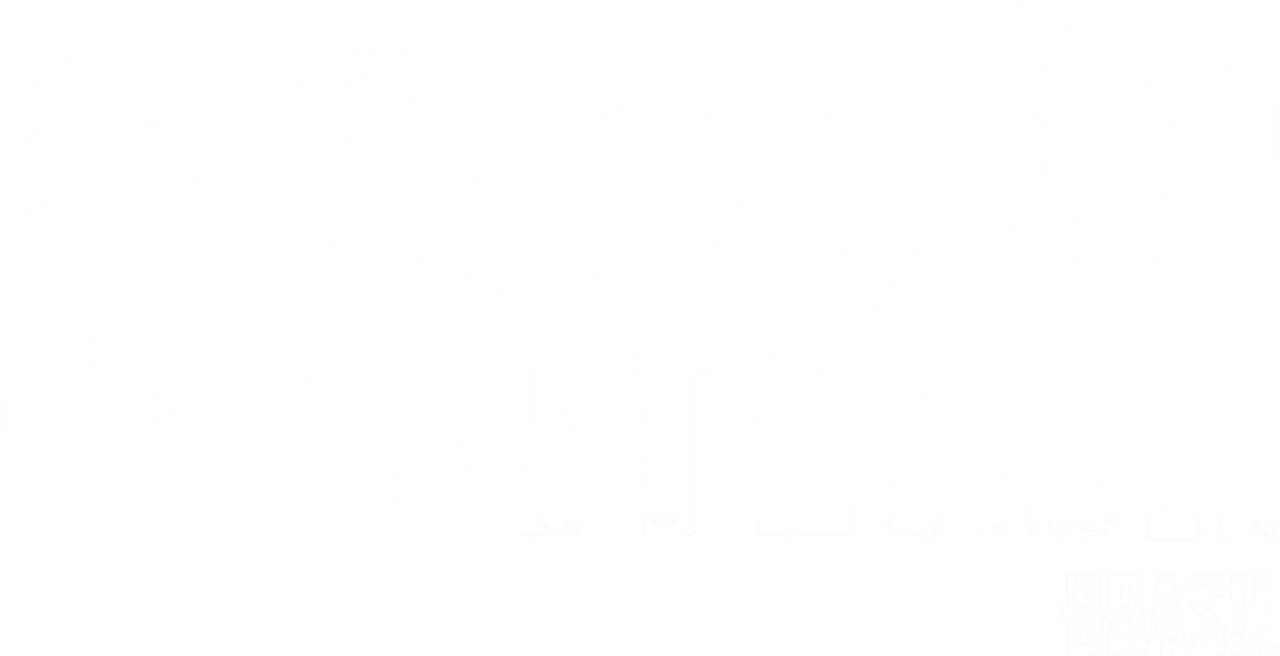 Operação Fronteira Brasil