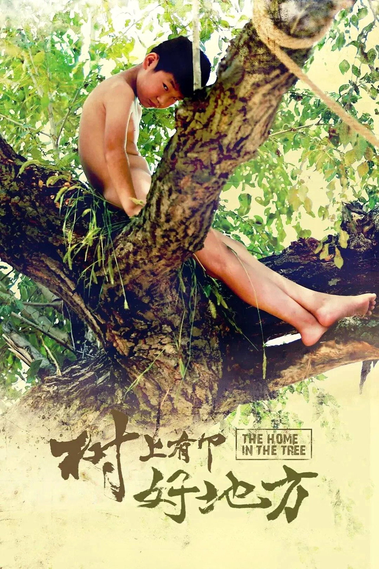 The Home in the Tree