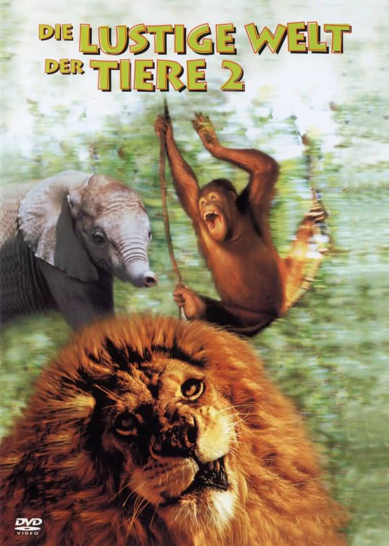 The Funny World of Animals 2