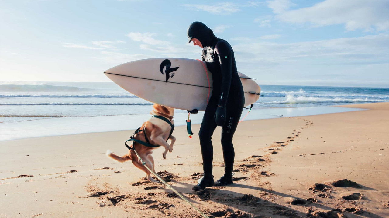 Avventure sull'Isola degli Orsi
