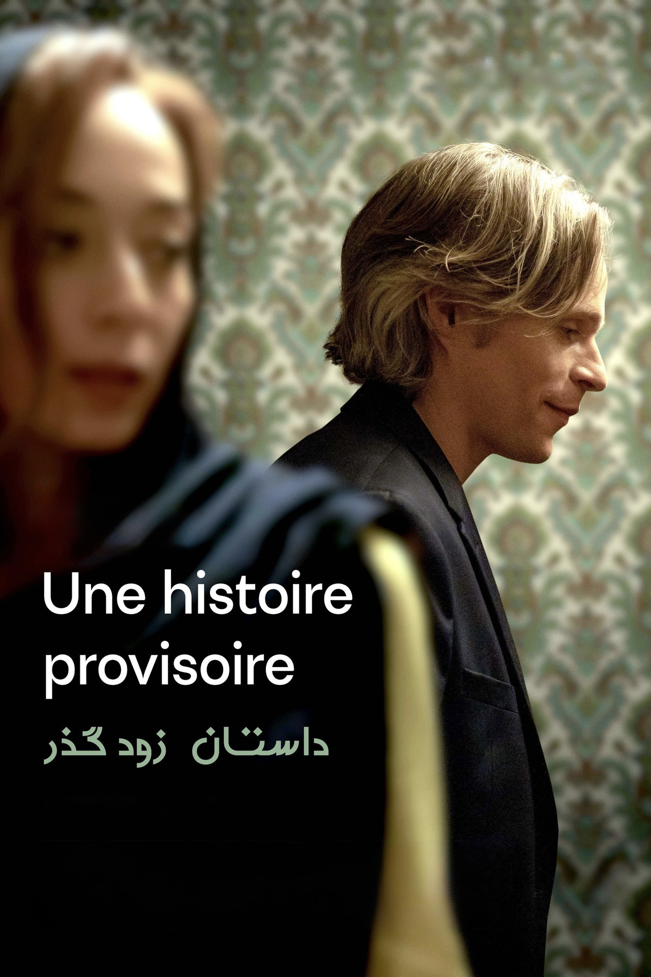Une histoire provisoire filmaffisch