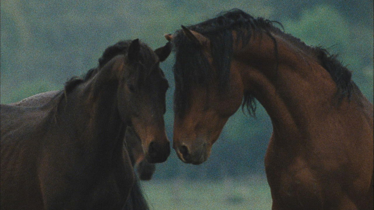 La Grande Bellezza - Vite segrete e luoghi nascosti d'Italia — Épisode 4