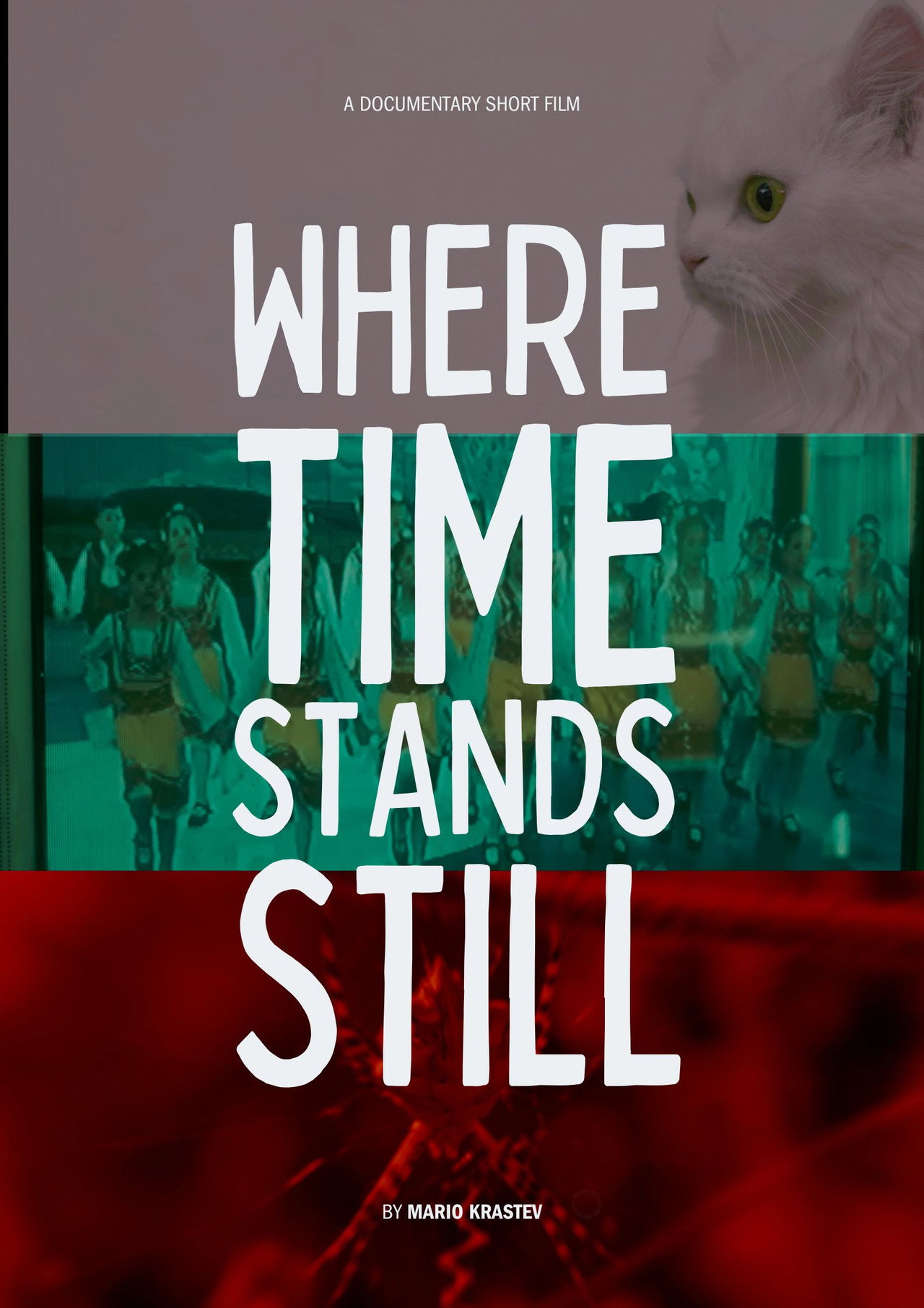 Where Time Stands Still filmaffisch