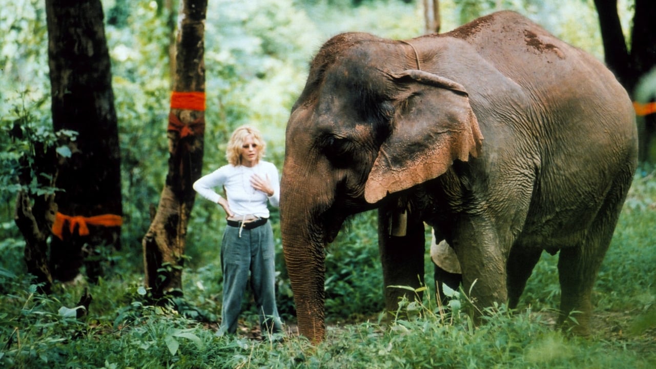 Nature - Season 20 Episode 14 : The White Elephants of Thailand with Meg Ryan