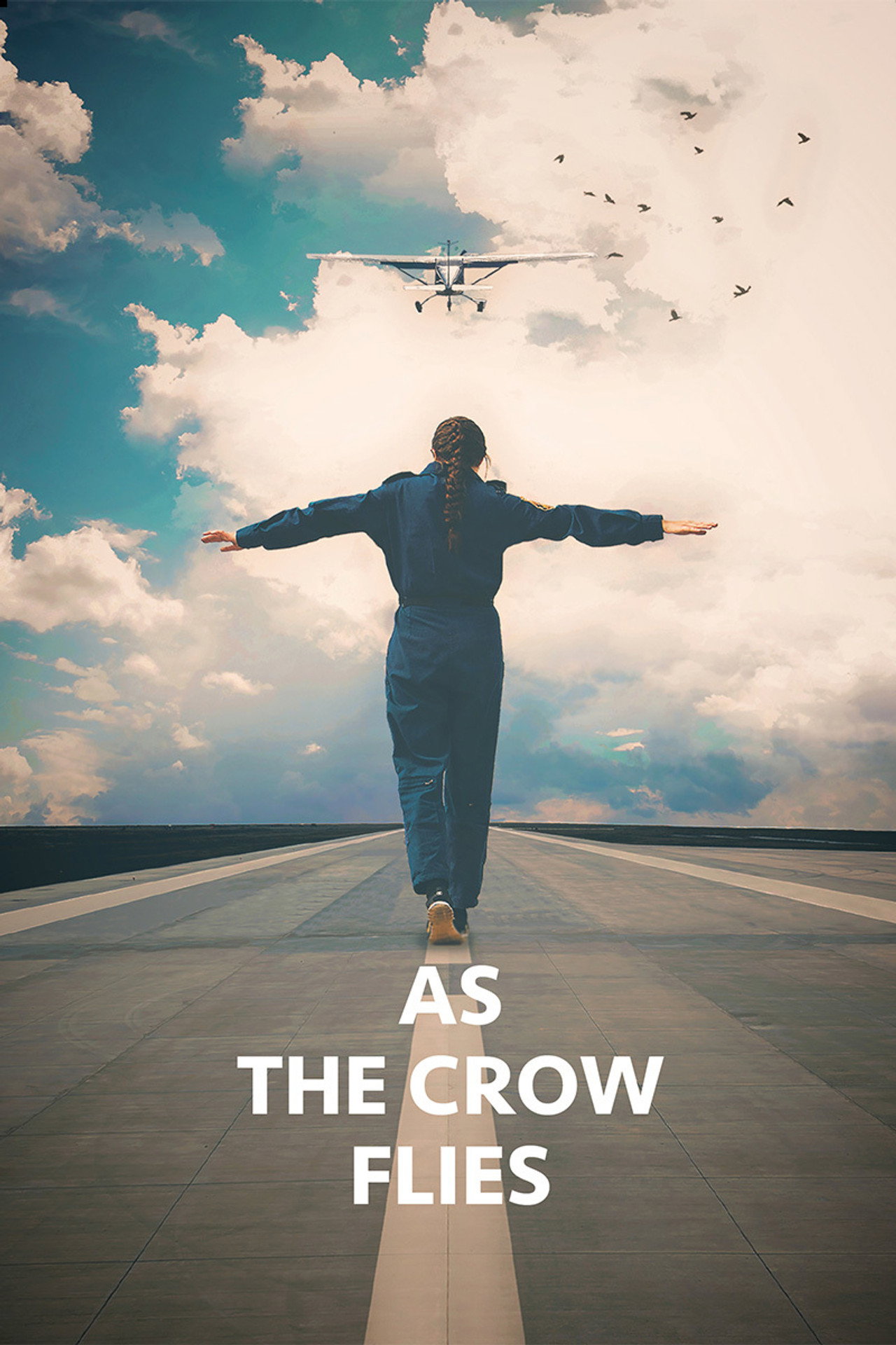 As the Crow Flies filmaffisch